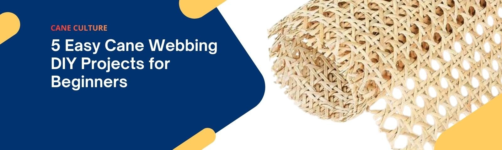 5 Easy Cane Webbing DIY Projects for Beginners