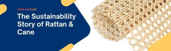 The Sustainability Story of Rattan & Cane
