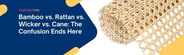 Bamboo vs. Rattan vs. Wicker vs. Cane: The Confusion Ends Here
