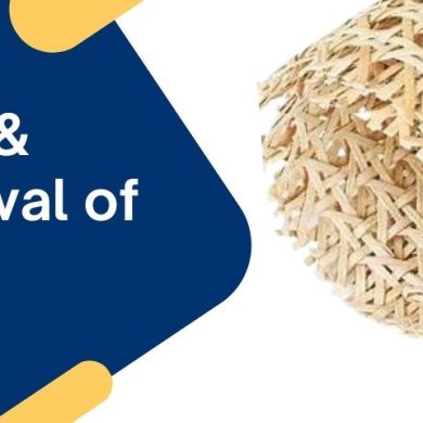  The History & Modern Revival of Rattan