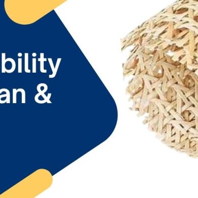 The Sustainability Story of Rattan & Cane